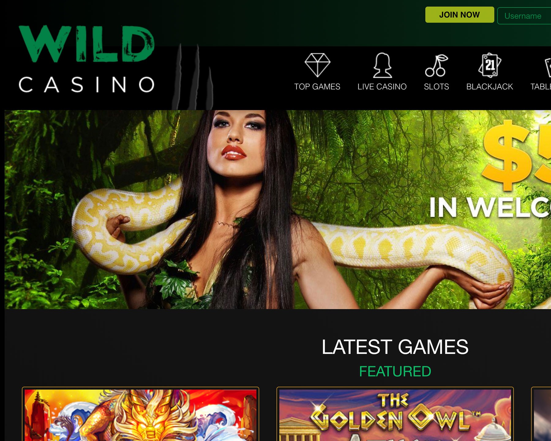 Wild Casino